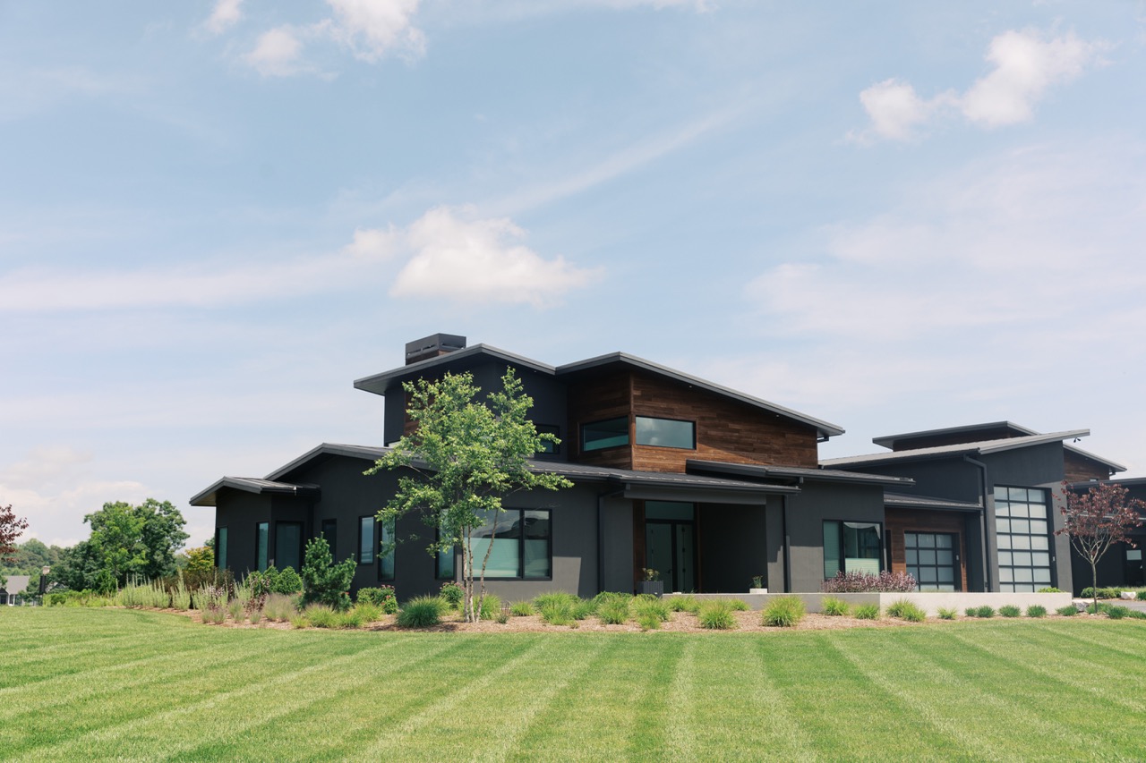 Modern Meadow